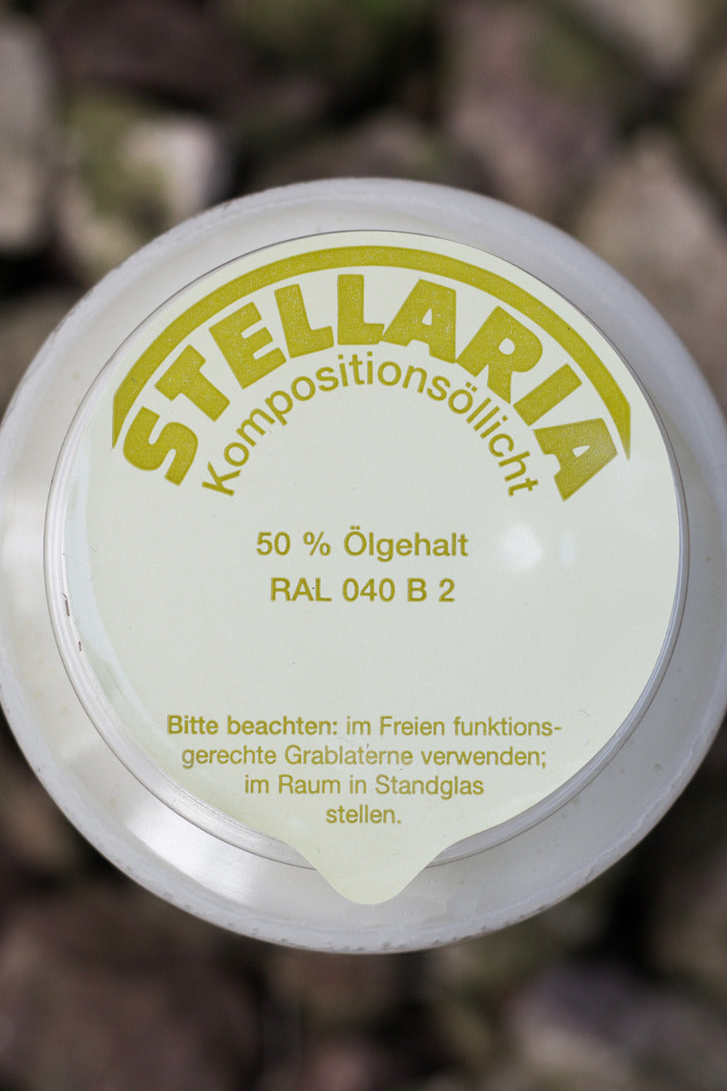 Grabkerze weiß Stellaria 6-Tage-Brenner im 20er Pack – grabschmuckzentrum