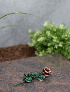 Rose Bronze klein grün mit roter Blüte
