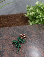 Rose Bronze klein grün mit roter Blüte