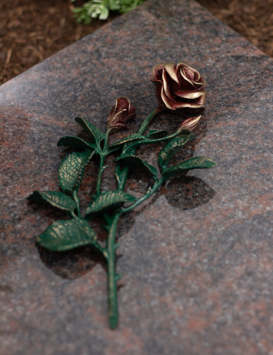 Rose Bronze groß grün mit roten Blüten