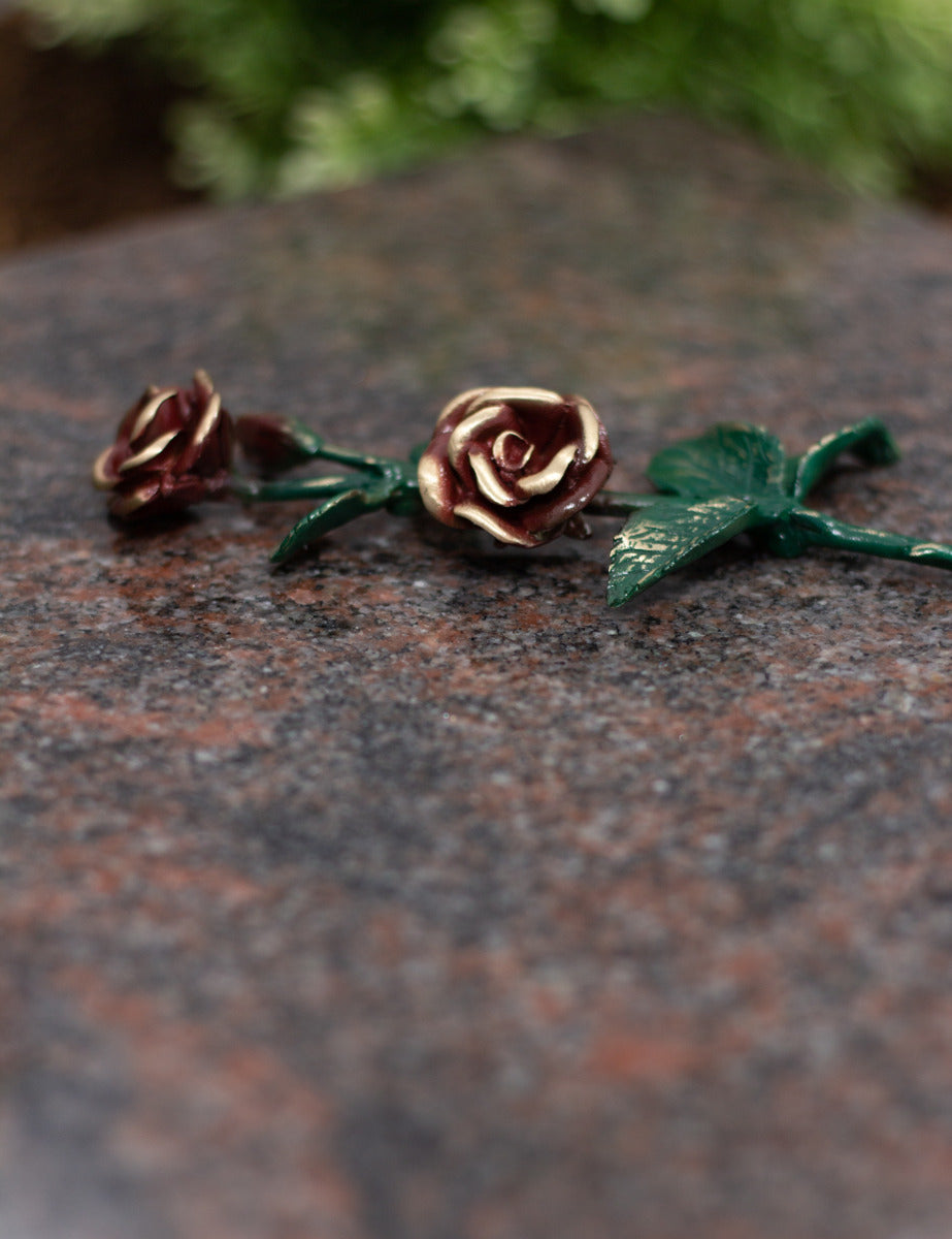 Rose Bronze grün mit roten Blüten