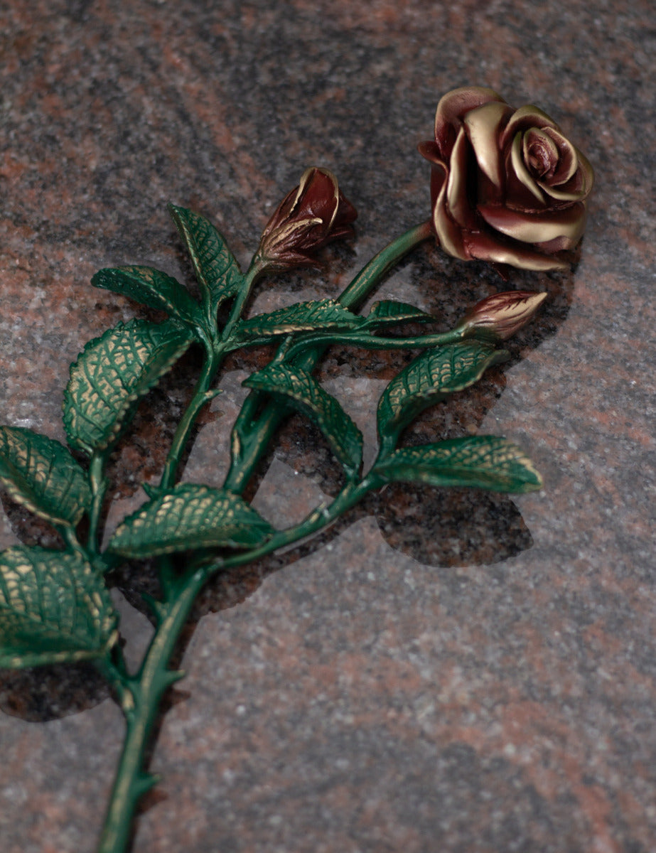 Rose Bronze groß grün mit roten Blüten