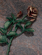 Rose Bronze groß grün mit roten Blüten