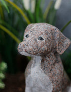Hund Granit rot